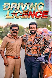 Driving Licence poster
