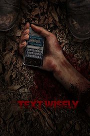 Text Wisely poster