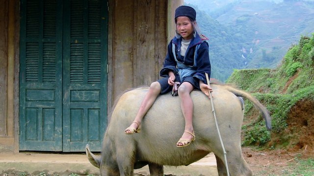 Watch The Buffalo Boy Online
