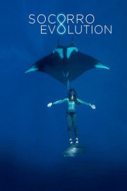 Socorro Evolution poster