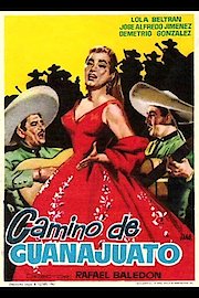 Camino De Guanajuato poster