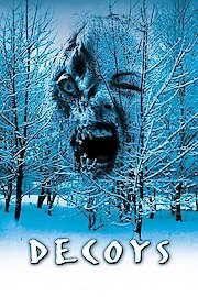 Decoys poster