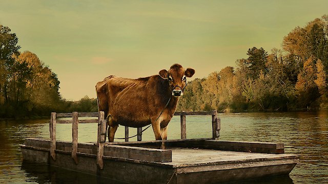 Watch First Cow Online