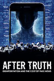 After Truth: Disinformation and the Cost of Fake News