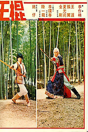 Shaolin Invincible Sticks