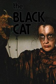 Black Cat