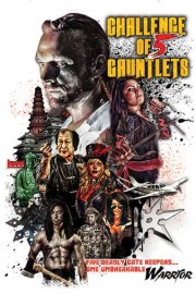 Challenge of 5 Gauntlets poster