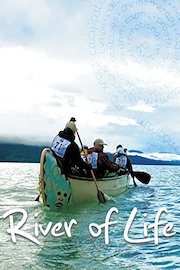 River of Life poster