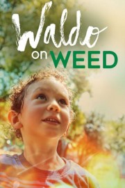 Waldo on Weed poster