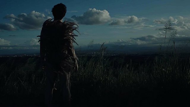 Watch Bestia de Cardo Online