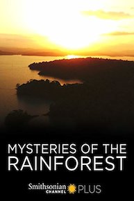 Mysteries of the Rainforest