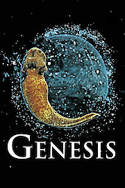 Genesis