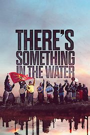 There's Something in the Water poster