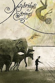 Muybridge's Strings