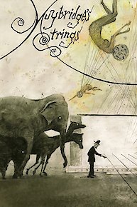 Muybridge's Strings