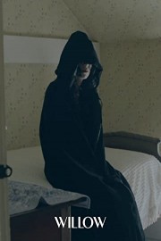 Willow poster
