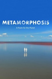 Metamorphosis poster