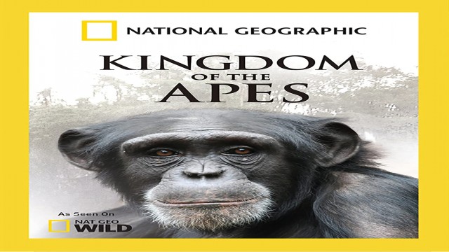 Watch Kingdom of the Apes Battle Lines Online