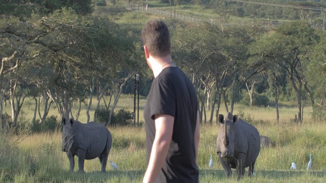 Watch The Boy from the Wild Online