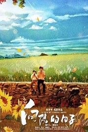 Sun Flower poster