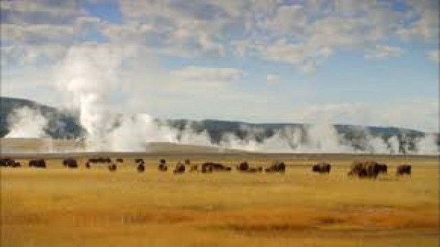 Watch The Last Buffalo Online