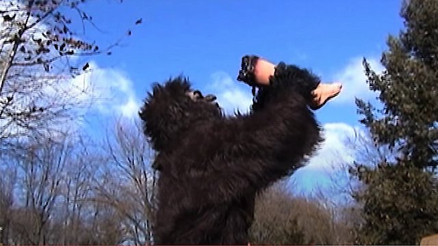 Watch Suburban Sasquatch Online