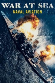 War at Sea: Naval Aviation poster