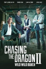 Chasing the Dragon II: Wild Wild Bunch poster