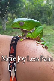 More Joy Less Pain poster