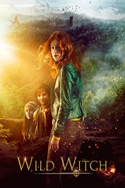 Wild Witch poster