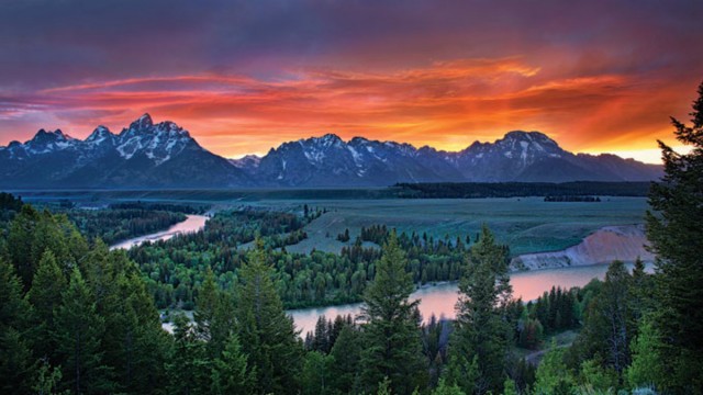 Watch Grand Teton and Yellowstone National Parks Online