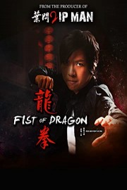 Fist of Dragon poster
