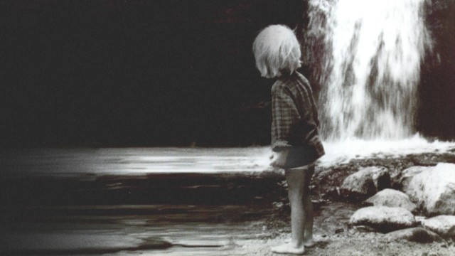 Watch Brothers of the Wilderness Online