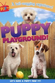 Puppy Playground poster