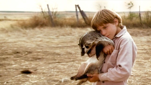 Watch The Boy Who Talked to Badgers Online