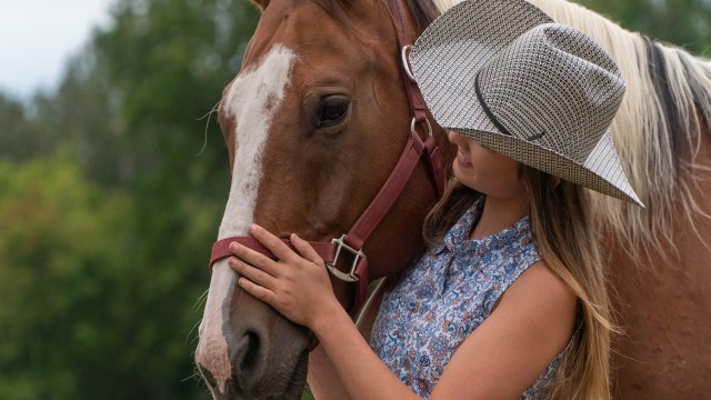 Watch Horse Camp: A Love Tail Online