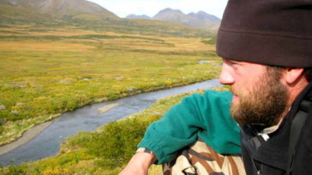 Watch High Country Brown Bears Online