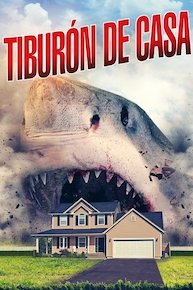 Tiburón De Casa