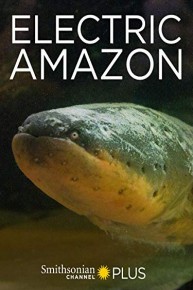 Electric Amazon