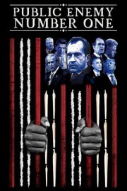 Public Enemy Number One poster