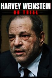 Weinstein: In Court poster