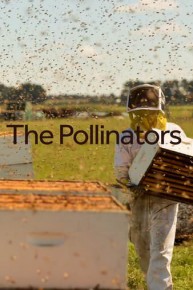 The Pollinators