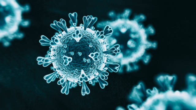 Watch Panorama: Fighting Coronavirus - The Scientific Battle Online