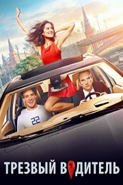 Designated Driver (Russian Audio)