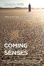 Coming to My Senses poster