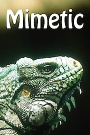 Mimetic poster