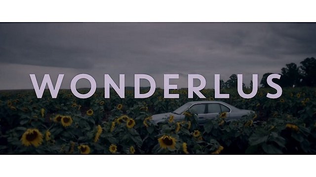Watch Wonderlus Online