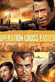 Operation Cross Eagles