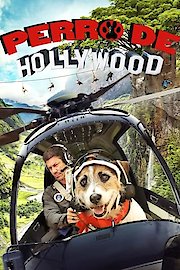 Perro de Hollywood (Doblado)
