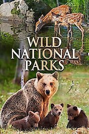Wild National Parks poster